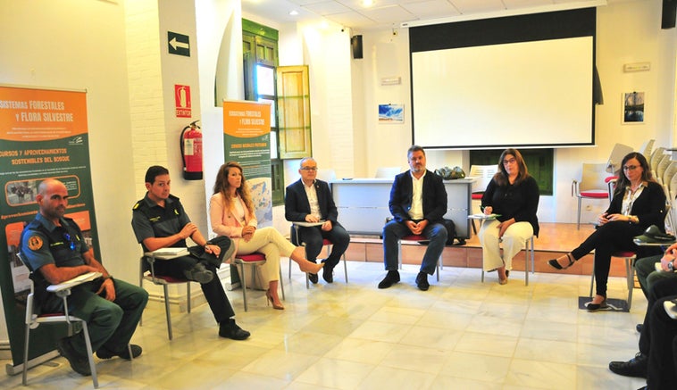 La Junta regula la recogida de setas en terrenos forestales de la provincia de Granada