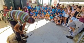 Taller de esquilo para escolares