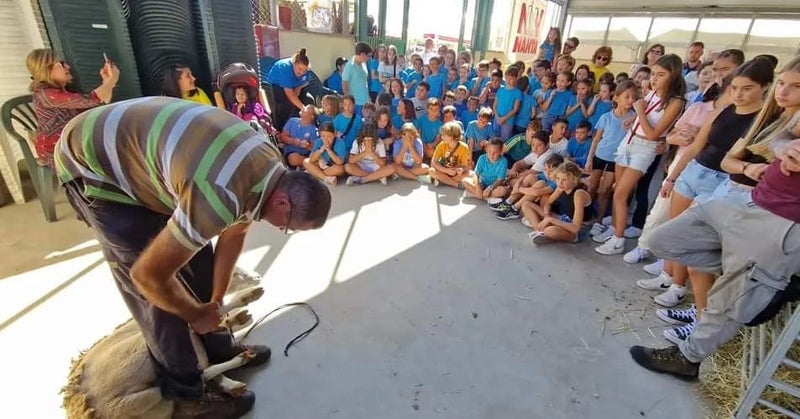 Finaliza con éxito la 50 edición de la Feria de la Oveja Segureña en Huéscar