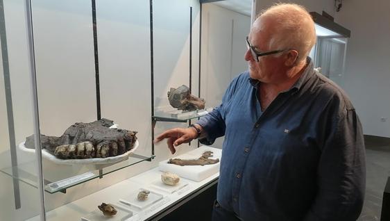 Hallan restos del último cocodrilo de Europa en Baza