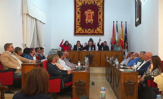 El pleno municipal aprueba una moción para mejorar la sanidad en Baza