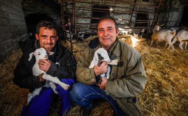 Salvador y Sergio Vizcaíno, hermanos que comparten una explotación ganadera con mil ovejas y cabras en Castilléjar. 