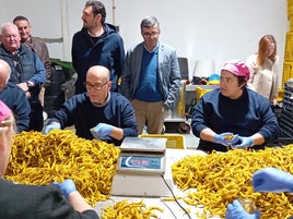 El Centro Especial de Empleo de Benamaurel lleva 27 años dinamizando la economía local