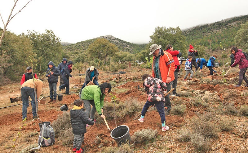 Día del Bosque de una edición anterior