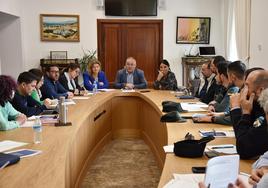 Reunión de la Comisión Técnica para mejorar el protocolo