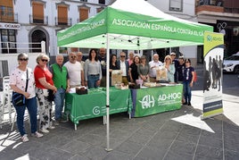 Carpa informativa del Día Mundial Sin Tabaco