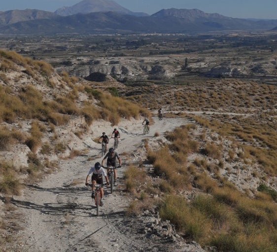 Imagen de una edición anterior.