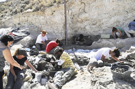 Yacimiento peleontológico Baza 1