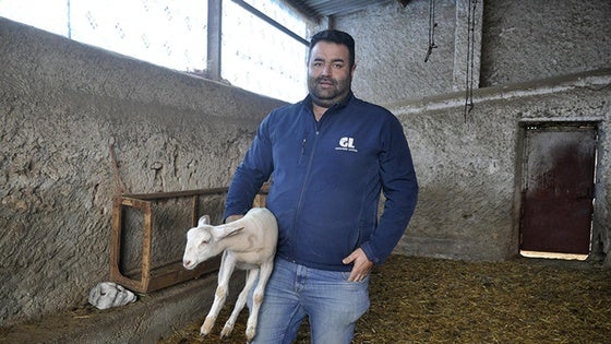 Los ganaderos de extensivo llevan más de dos meses con el ganado encerrado por las intensas lluvias