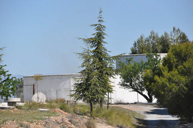 El PSOE considera ilegales las obras de abastecimiento de agua realizadas por el Ayuntamiento de Caniles