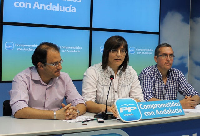 El PP denuncia que la mala gestión del PSOE ha supuesto pérdidas de 1,8 de la empresa pública Matadero de Baza
