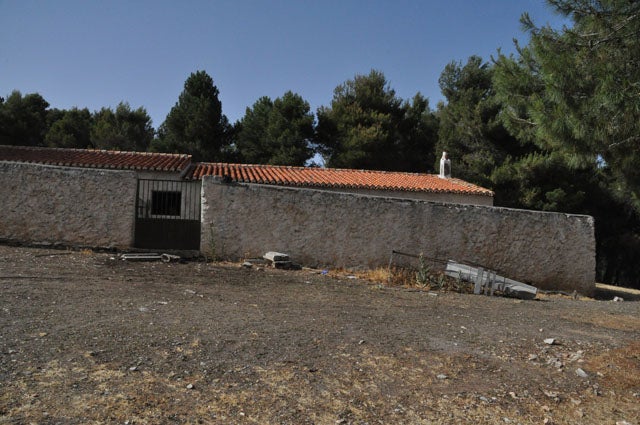 Dos mayores detenidos por la brutal agresión a una persona que se debate entre la vida y la muerte en Baza