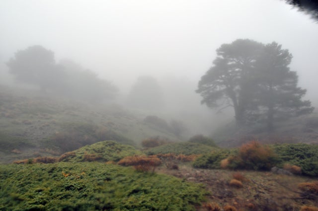 El Parque Natural de la Sierra de Baza busca director conservador