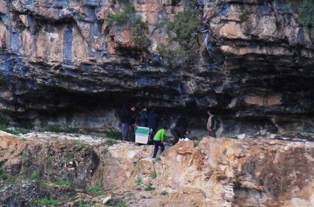 Vera, Guadalquivir y Estela ya están juntos y libres en su nuevo hábitat del Parque Natural de la Sierra de Castril