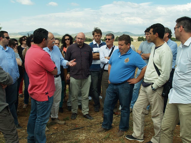 Las comarcas de Baza y Huéscar demuestran su potencial para el cultivo de 'oro negro'