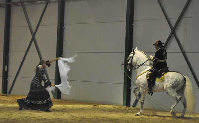1.500 personas asisten en Baza a la exhibición ecuestre del XVII Campeonato de Caballos