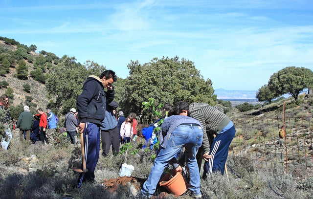 Proyecto Sierra de Baza celebra el Día del Bosque