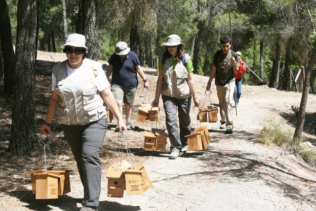 Voluntarios ambientales del Parque Natural Sierra de Baza, instalan nidos para aves insectívoras