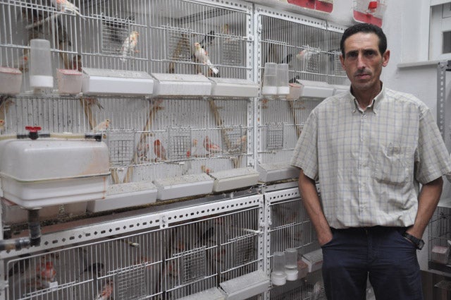 “Criar pájaros que logren buenas puntuaciones es muy difícil”