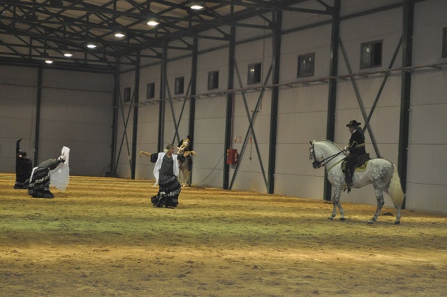 Comienza en Baza el campeonato de caballos de Pura Raza Española