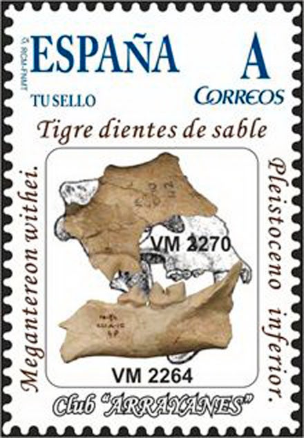 Dedican un sello al tigre dientes de sable de origen africano descubierto en Orce