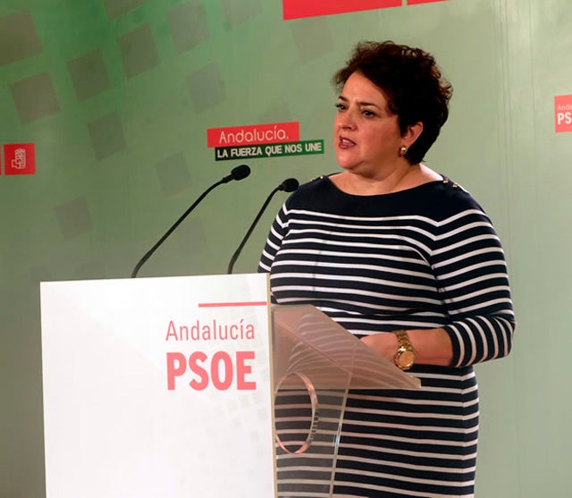 El PP rechaza la enmienda del PSOE para un presupuesto "suficiente" para el tren por Baza