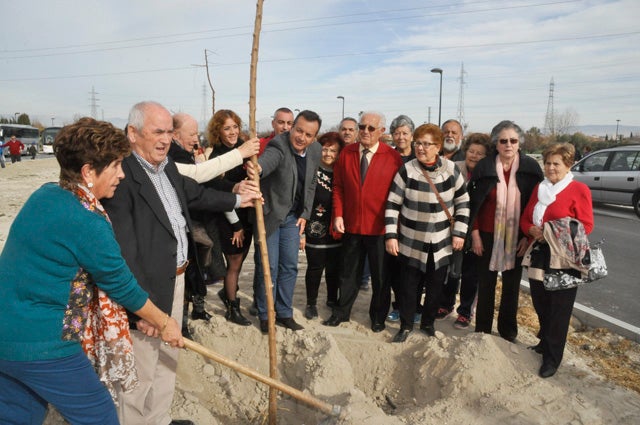 Unos 200 mayores plantan más de 100 árboles en el entorno de la residencia