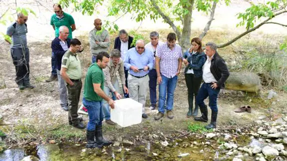 Medio Ambiente reintroduce 250 ejemplares de cangrejo autóctono de río en arroyos de la comarca de Huéscar