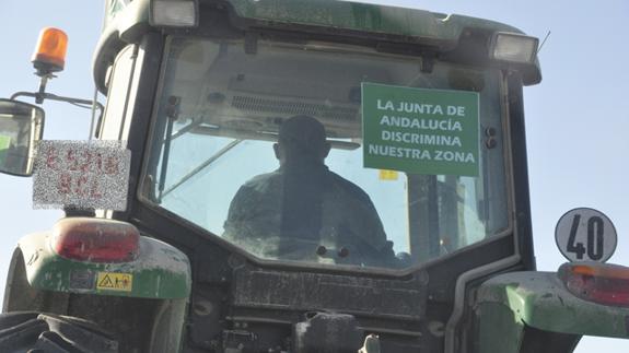 Los productores de almendra se unen para defender sus intereses