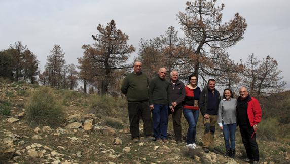 El PP pide más dinero para erradicar las plagas en el P. N. Sierra de Baza