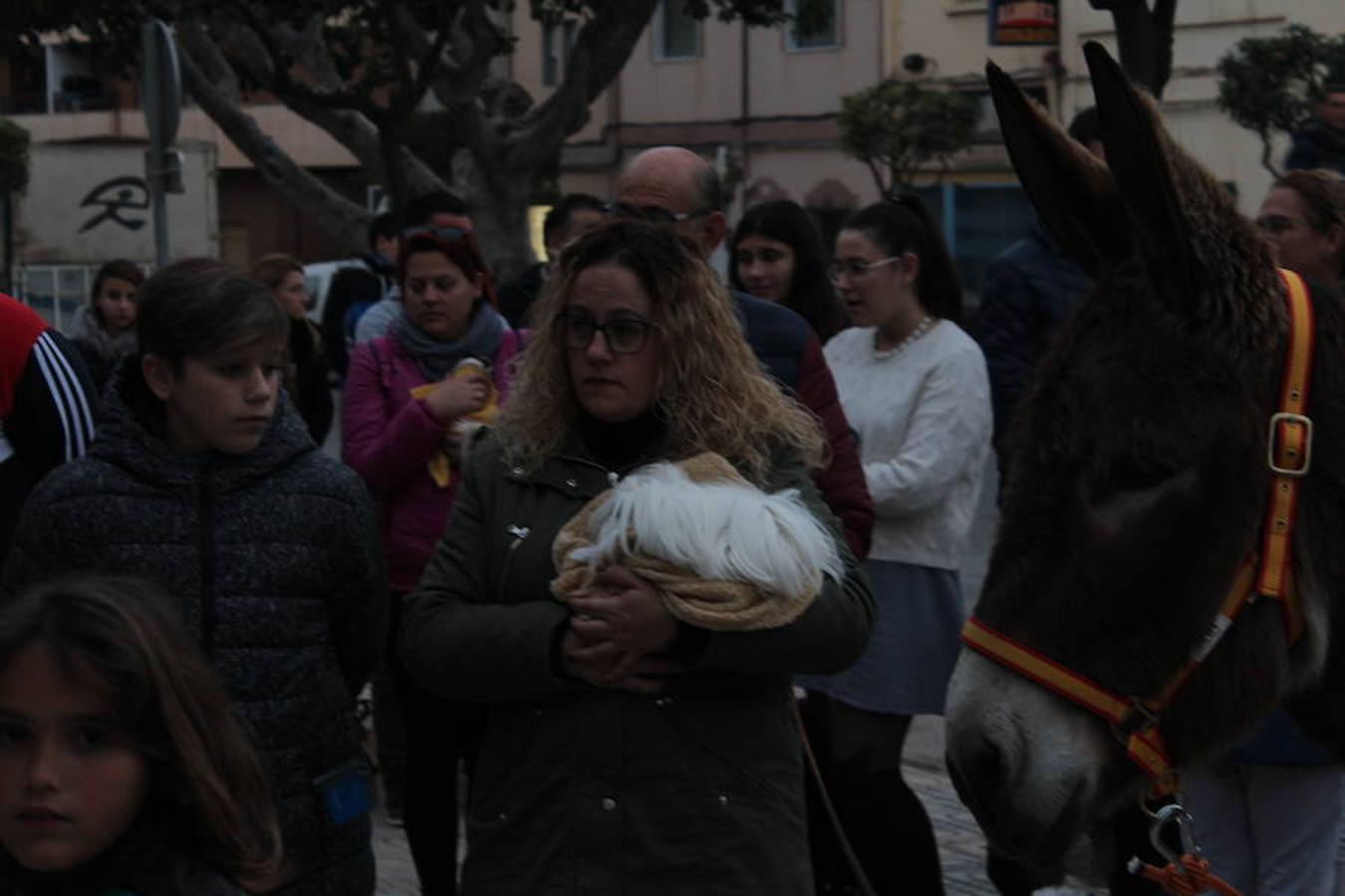 El núcleo urbano de Santa María del Águila vivió este pasado sábado su especial festividad de San Anton, que contó tanto con su parte religiosa como con un espacio para la fiesta, la convivencia y las tradiciones. En esta línea, a las cinco de la tarde arrancó la jornada con la concentración animales y mascotas en el parque municipal. A las seis y media se llevó a cabo su bendición en la puerta de la parroquia de la localidad y posteriormente arrancó el recorrido de la antorcha para acabar con el encendido de la gran hoguera de San Antón en una noche de fiesta y convivencia.