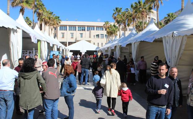 El tejido asociativo ejidense se concentra en la Plaza Mayor