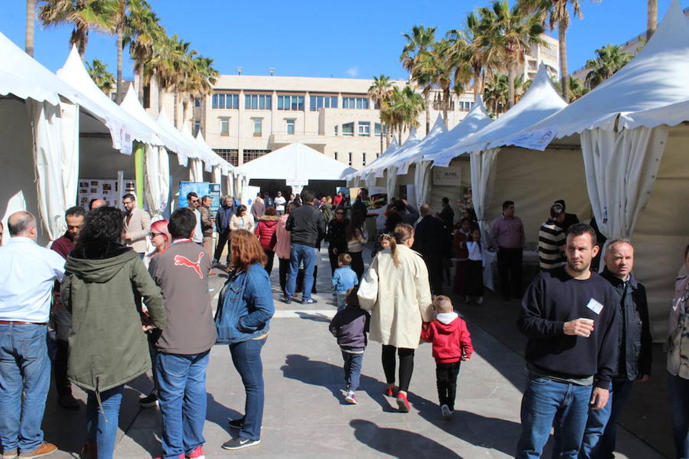 El tejido asociativo ejidense se dio cita en el día de ayer en la Plaza Mayor para formar parte del VII Encuentro Asociativo. Una actividad que contó con la participación de 37 entidades y con cerca de medio centenar de actividades paralelas a lo largo de toda la jornada.