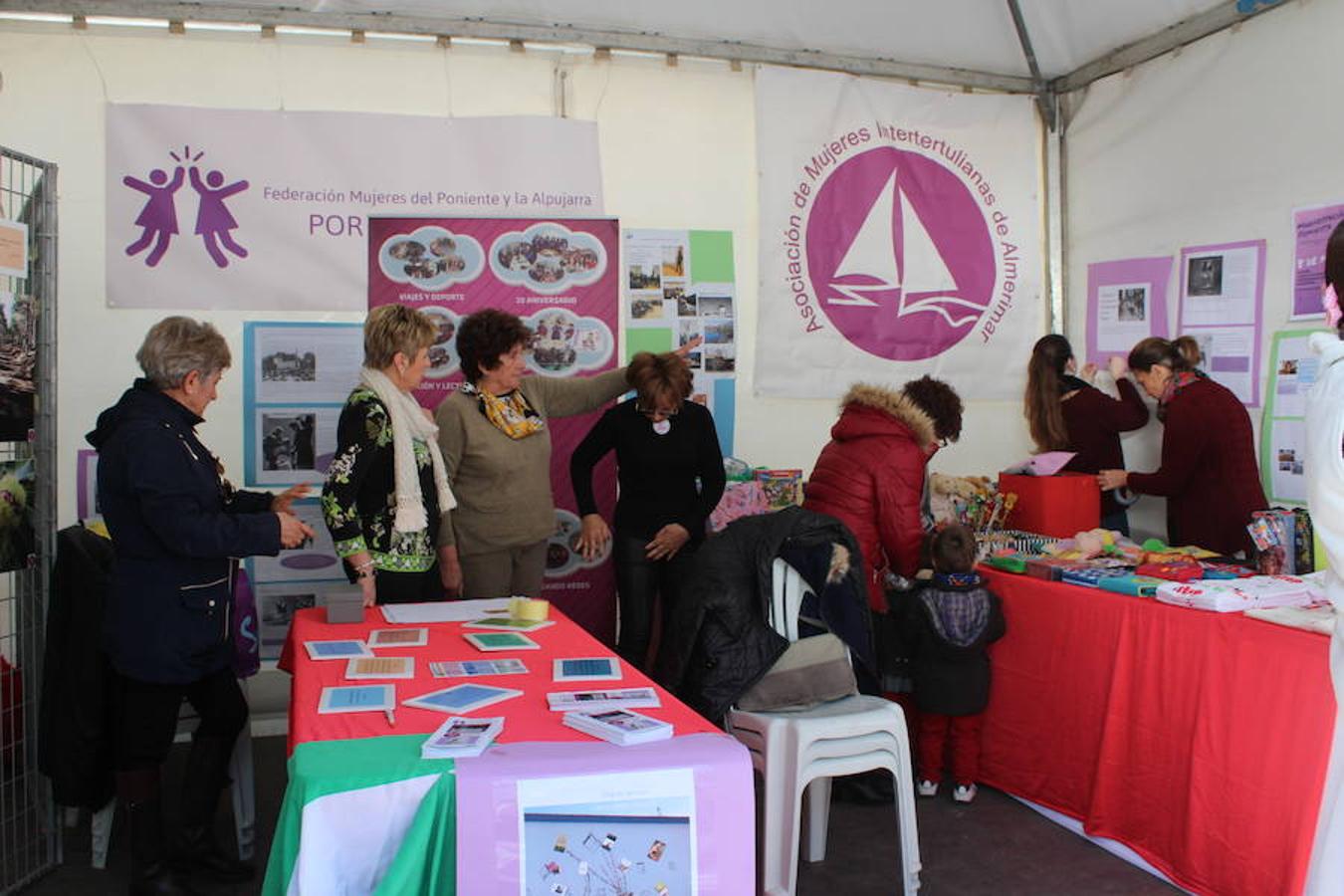 El tejido asociativo ejidense se dio cita en el día de ayer en la Plaza Mayor para formar parte del VII Encuentro Asociativo. Una actividad que contó con la participación de 37 entidades y con cerca de medio centenar de actividades paralelas a lo largo de toda la jornada.