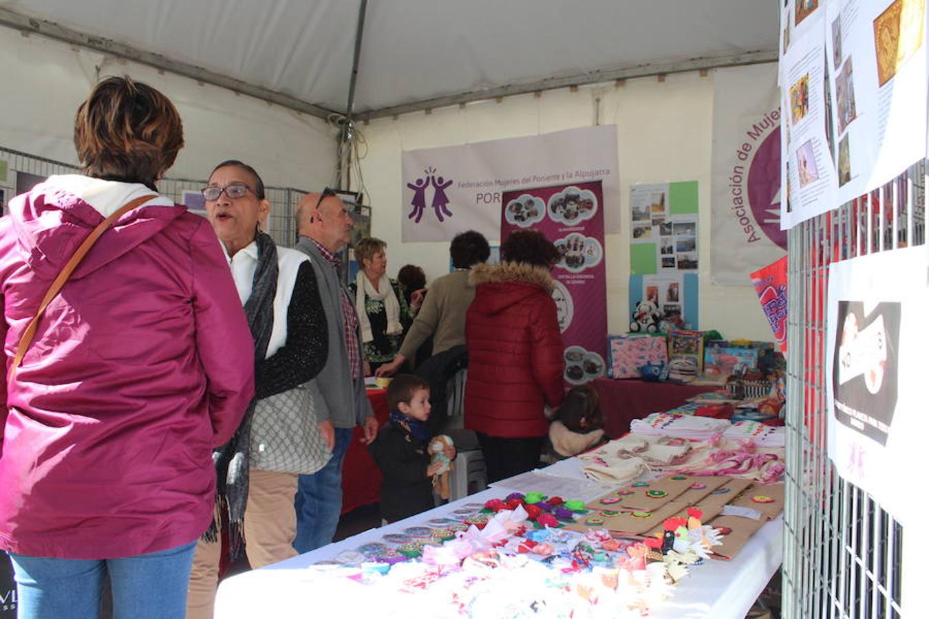 El tejido asociativo ejidense se dio cita en el día de ayer en la Plaza Mayor para formar parte del VII Encuentro Asociativo. Una actividad que contó con la participación de 37 entidades y con cerca de medio centenar de actividades paralelas a lo largo de toda la jornada.