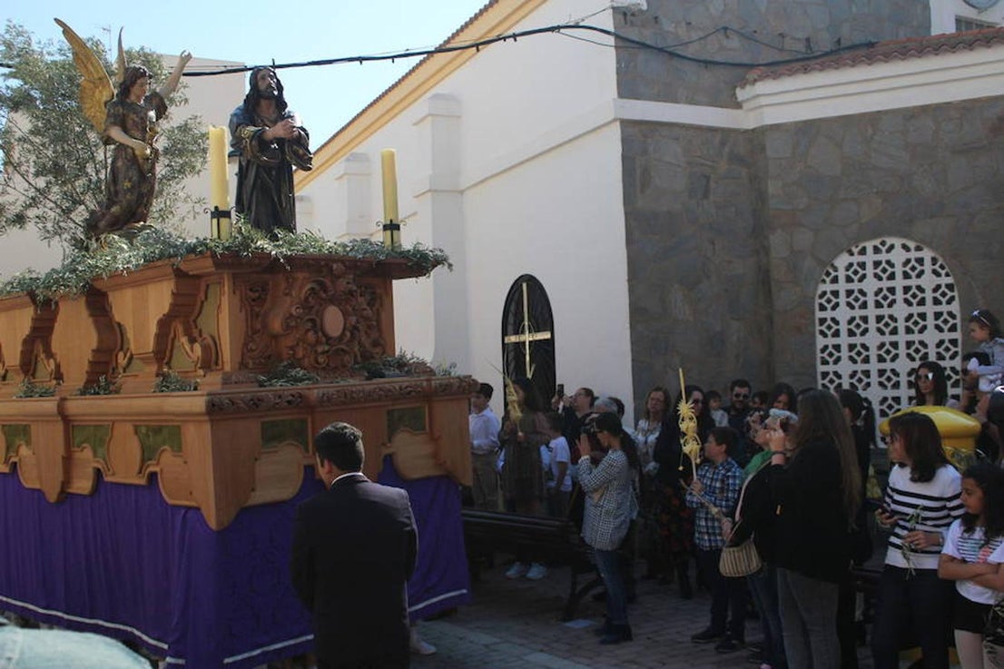 El municipio de El Ejido se despertó ayer oliendo a incienso y con las palmas y los ramos llenando las calles tanto del centro de la localidad como de los núcleos, ya que todas las parroquias celebraron ayer el Domingo de Ramos, desde Matagorda hasta San Agustín, pasando por Pampanico, Santa María del Águila, Las Norias de Daza, La Loma o Santo Domingo. Sin embargo, la primera procesión de esta Semana Santa la protagonizó Balerma, donde la Cofradía de Nuestro Padre Jesús Nazareno y Nuestra Señora de los Dolore procesionó la imagen de Nuestro Padre Jesús de la Oración del Huerto.