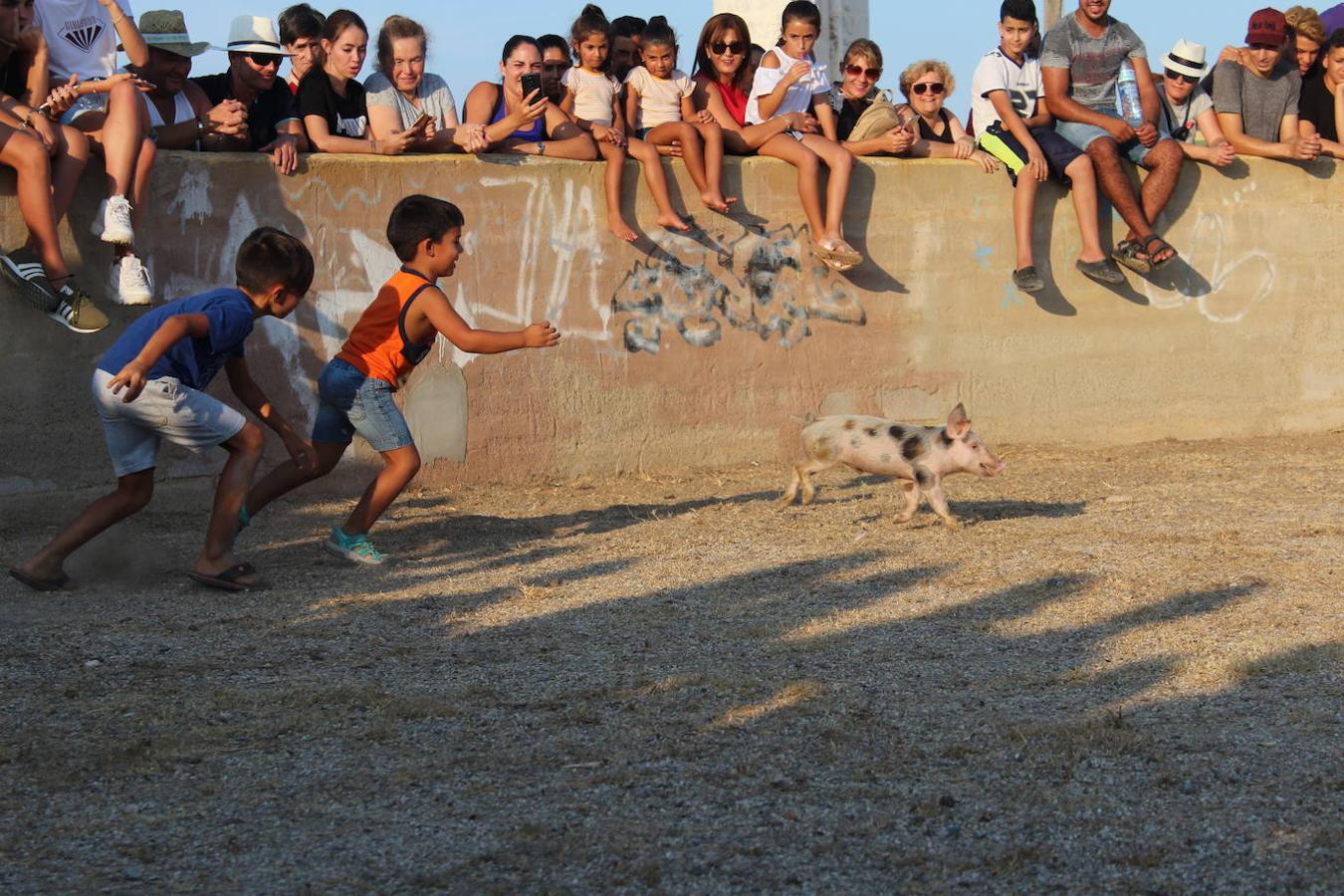 El núcleo ejidense de San Agustín continúa disfrutando de la amplia y variada programación elaborada por la Junta Local con motivo de sus fiestas patronales en honor de San Agustín y la Virgen de La Consolación, que se desarrollan hasta mañana domingo. Tras la disputa del Rally de Carretillas y el Lanzamiento de Bolsos del jueves, las fiestas continuaron ayer con la caza del marranillo y el tiro con cuerda y con barra entre los adultos.