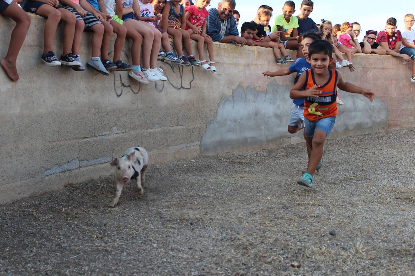 El núcleo ejidense de San Agustín continúa disfrutando de la amplia y variada programación elaborada por la Junta Local con motivo de sus fiestas patronales en honor de San Agustín y la Virgen de La Consolación, que se desarrollan hasta mañana domingo. Tras la disputa del Rally de Carretillas y el Lanzamiento de Bolsos del jueves, las fiestas continuaron ayer con la caza del marranillo y el tiro con cuerda y con barra entre los adultos.