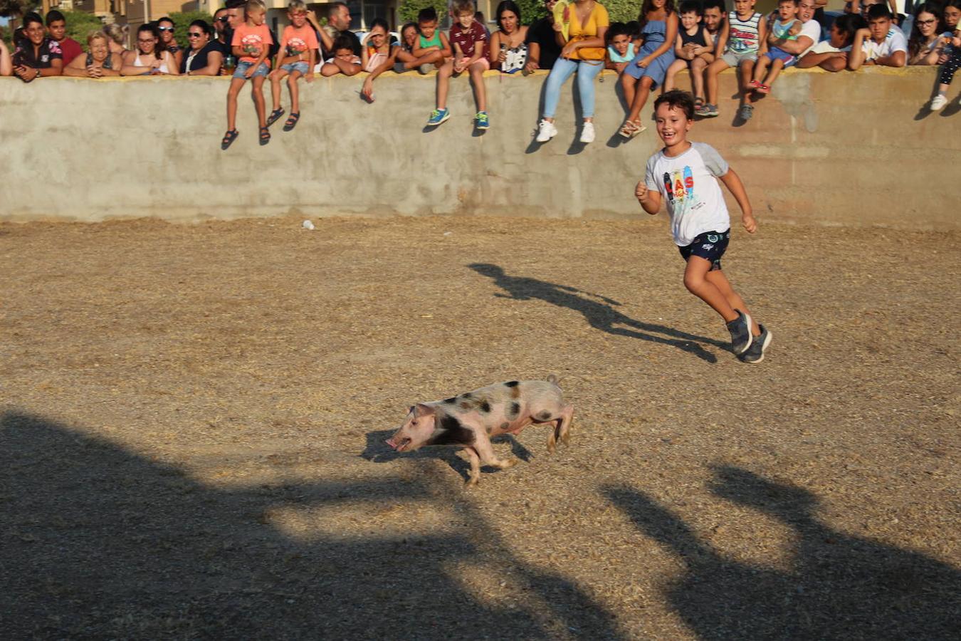 El núcleo ejidense de San Agustín continúa disfrutando de la amplia y variada programación elaborada por la Junta Local con motivo de sus fiestas patronales en honor de San Agustín y la Virgen de La Consolación, que se desarrollan hasta mañana domingo. Tras la disputa del Rally de Carretillas y el Lanzamiento de Bolsos del jueves, las fiestas continuaron ayer con la caza del marranillo y el tiro con cuerda y con barra entre los adultos.