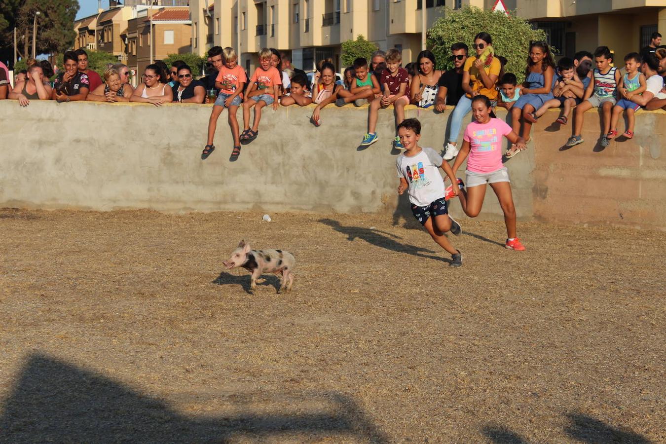 El núcleo ejidense de San Agustín continúa disfrutando de la amplia y variada programación elaborada por la Junta Local con motivo de sus fiestas patronales en honor de San Agustín y la Virgen de La Consolación, que se desarrollan hasta mañana domingo. Tras la disputa del Rally de Carretillas y el Lanzamiento de Bolsos del jueves, las fiestas continuaron ayer con la caza del marranillo y el tiro con cuerda y con barra entre los adultos.