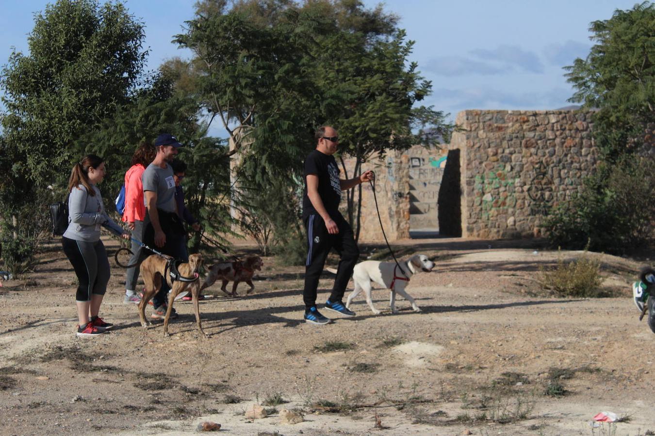 Concienciar y colaborar en una actividad deportiva, familiar y divertida. Esa fue la propuesta en la mañana de ayer de la asociación Soy Especial yQué con su segunda edición de la Masco Running. Una carrera cuya particularidad fue que había que correrla con una mascota bien real o en peluche, pero que también permitía hacerlo disfrazado de animal. Todo ello para de una manera divertida y amena concienciar sobre la importancia de cuidar a los animales y su tenencia responsable, al tiempo que dar a conocer los distintos refugios y asociaciones de animales que hay en el entorno.