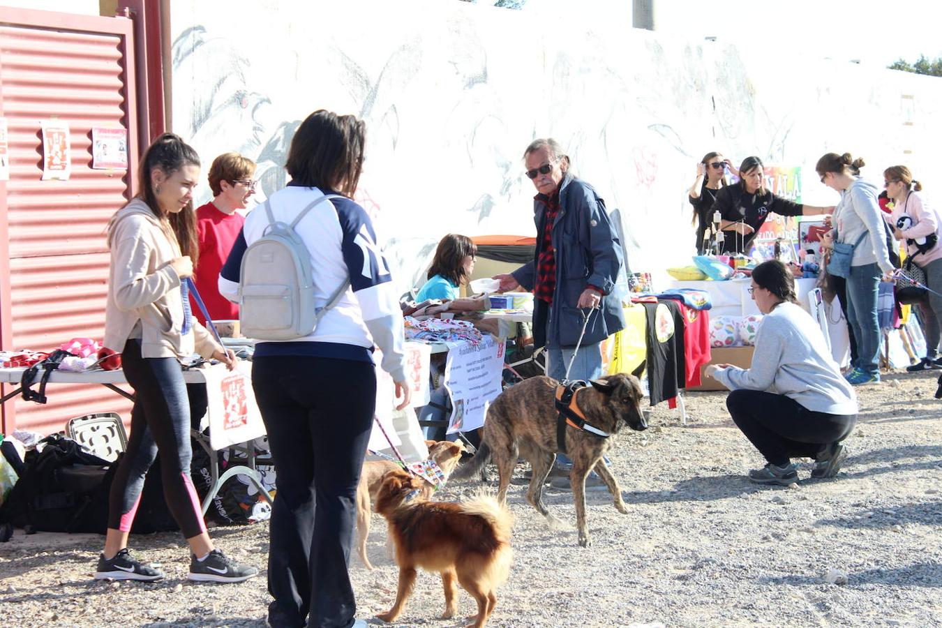 Concienciar y colaborar en una actividad deportiva, familiar y divertida. Esa fue la propuesta en la mañana de ayer de la asociación Soy Especial yQué con su segunda edición de la Masco Running. Una carrera cuya particularidad fue que había que correrla con una mascota bien real o en peluche, pero que también permitía hacerlo disfrazado de animal. Todo ello para de una manera divertida y amena concienciar sobre la importancia de cuidar a los animales y su tenencia responsable, al tiempo que dar a conocer los distintos refugios y asociaciones de animales que hay en el entorno.