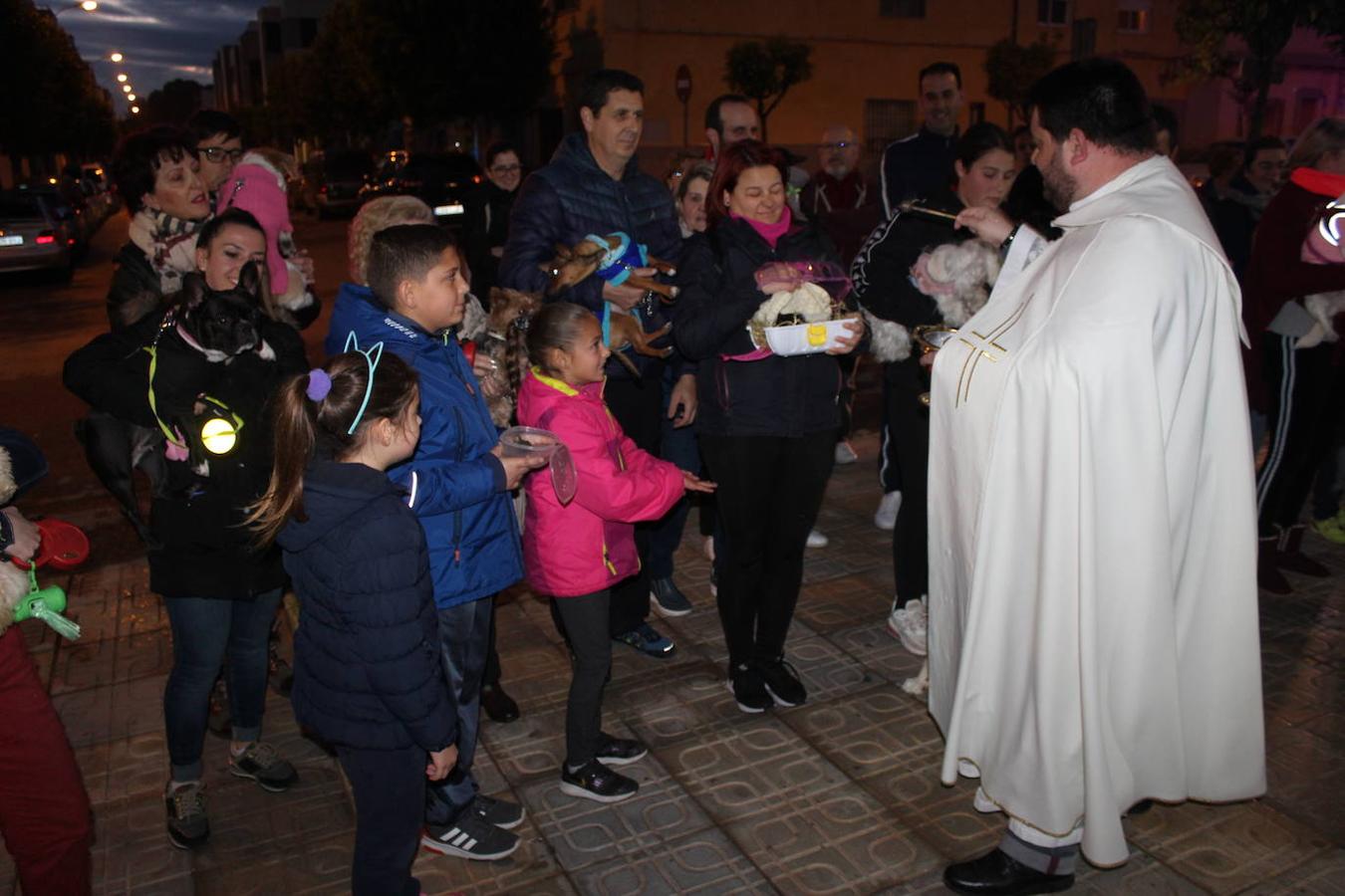 Santa María del Águila y San Agustín han celebrado su tradicional fiesta de San Antón Abad. Un evento social y cultural en torno al calor del fuego de la comida y la fiesta. Santa María del Águila inició su fiesta a las cinco de la tarde con la concentración de animales y mascotas, antes de su bendición. Posteriormente se llevó a cabo el encendido de la antorcha, que recorrió el núcleo antes de prender la hoguera. En el caso de San Agustín, arrancó a las cinco y media con el encendido de la antorcha en la plaza Antonio Mira, que portaron miembros de Ajusta corriendo hasta San Agustín donde entorno a las ocho de la tarde se encendió la hoguera, con fuegos artificiales, juego de luces y música 