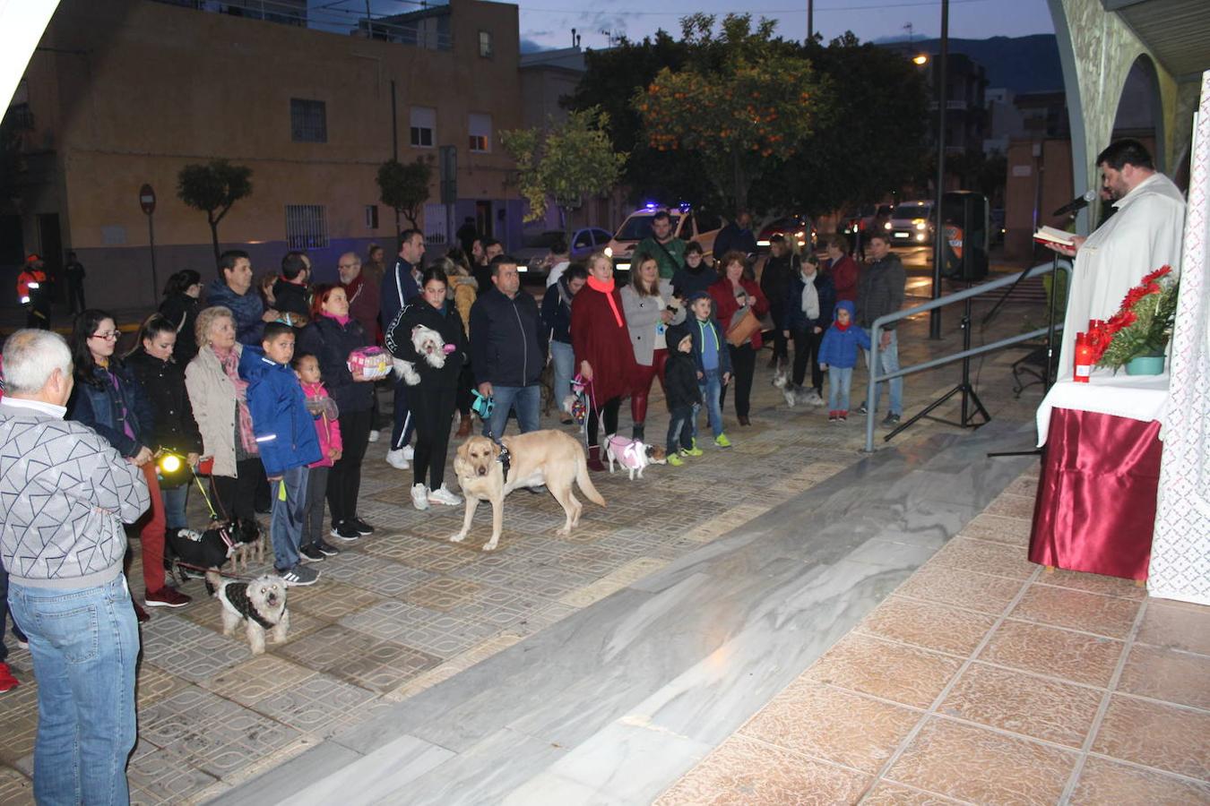 Santa María del Águila y San Agustín han celebrado su tradicional fiesta de San Antón Abad. Un evento social y cultural en torno al calor del fuego de la comida y la fiesta. Santa María del Águila inició su fiesta a las cinco de la tarde con la concentración de animales y mascotas, antes de su bendición. Posteriormente se llevó a cabo el encendido de la antorcha, que recorrió el núcleo antes de prender la hoguera. En el caso de San Agustín, arrancó a las cinco y media con el encendido de la antorcha en la plaza Antonio Mira, que portaron miembros de Ajusta corriendo hasta San Agustín donde entorno a las ocho de la tarde se encendió la hoguera, con fuegos artificiales, juego de luces y música 