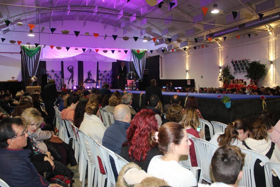 Fotos: Éxito de participación en la II Gala 'Vive el Flamenco'