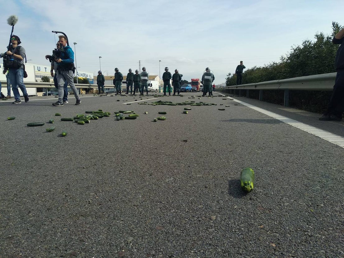 Miembros de las principales organizaciones agrarias y representantes del PP, Ciudadanos y Vox se concentran en el Polígono La Redonda de El Ejido por la crisis de rentabilidad de los productos hortofrutícolas.