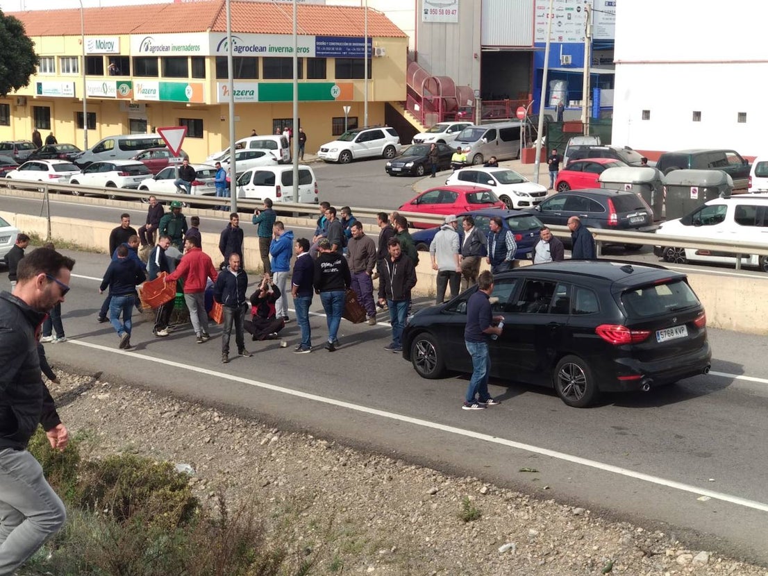 Miembros de las principales organizaciones agrarias y representantes del PP, Ciudadanos y Vox se concentran en el Polígono La Redonda de El Ejido por la crisis de rentabilidad de los productos hortofrutícolas.