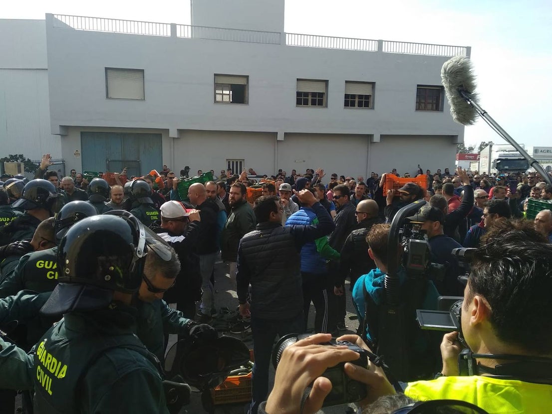 Miembros de las principales organizaciones agrarias y representantes del PP, Ciudadanos y Vox se concentran en el Polígono La Redonda de El Ejido por la crisis de rentabilidad de los productos hortofrutícolas.
