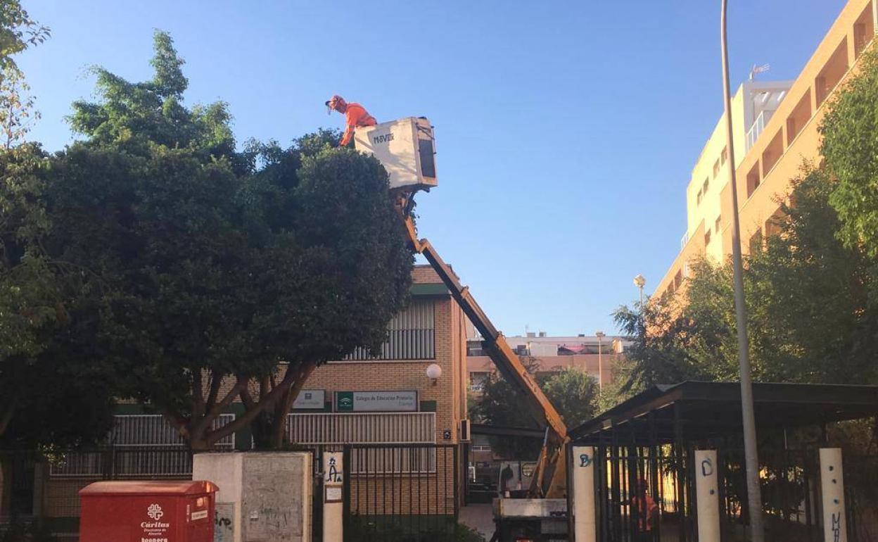 Gestión del agua en El Ejido | El Ayuntamiento de El Ejido se hace cargo de la gestión del servicio de agua