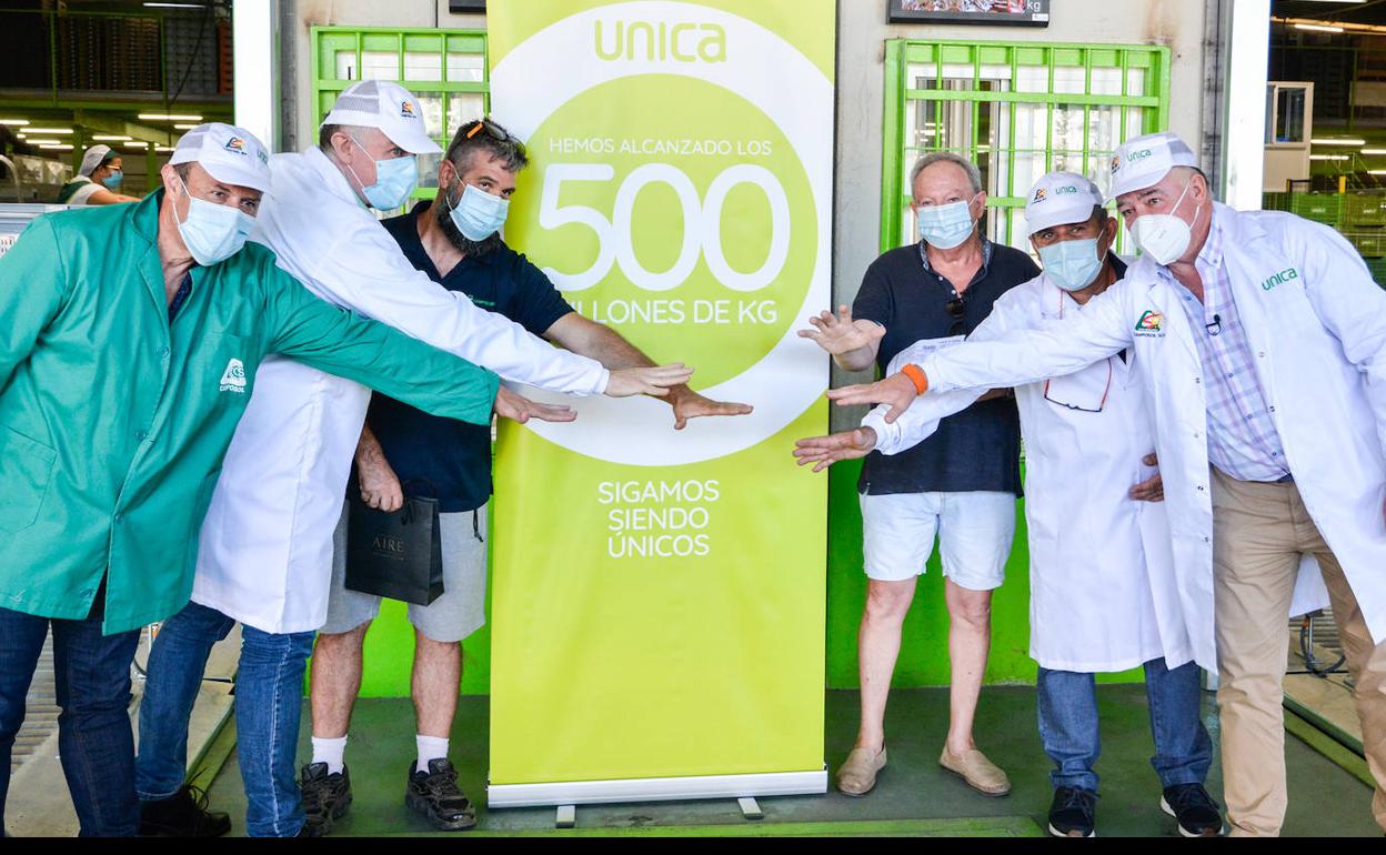 UNICA alcanza los 500 millones de kilos en el cierre de campaña agrícola